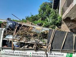 Best Demolition Debris Removal  in Carrington, ND