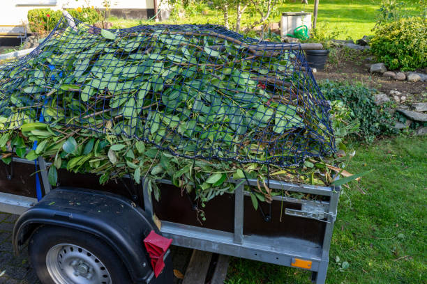 Best Yard Waste Removal  in Carrington, ND